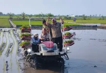 Wamentan: Kunci Panen Melimpah adalah Tanam Lebih Banyak