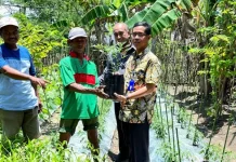 Pemkab Bojonegoro Salurkan Bantuan Bibit untuk Petani