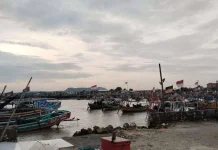 Cuaca Ekstrem Hambat Nelayan, HNSI Lamongan Harapkan Bantuan Pemecah Gelombang