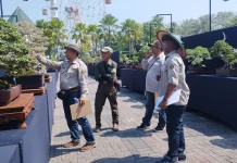 Kontes Bonsai Nasional Lamongan Hadirkan Koleksi Tua Bernilai Miliaran Rupiah