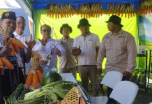 Petani Jawa Timur Perkuat Kolaborasi Percepat Modernisasi Pertanian