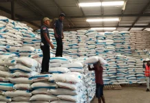 Pupuk Indonesia Pastikan Pasokan Pupuk Lamongan Aman Dukung Swasembada Pangan