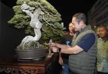 Bupati Lamongan: Pameran Bonsai Nasional di Lamongan Tumbuhkan Ekonomi Kreatif