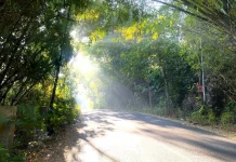 Tuban Alami Fenomena Bediding, Suhu Lebih Dingin dari Biasanya