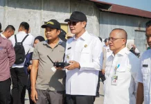Lamongan Kerahkan Drone Kendalikan Wereng, Antisipasi Gagal Panen