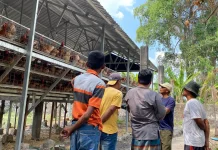 Warga Tuwiri Wetan Tuban Desak Relokasi Kandang Ayam Bumdes akibat Serangan Lalat