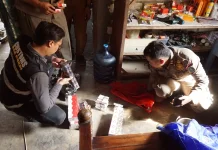 Operasi Gabungan di Lamongan Temukan Ribuan Batang Rokok Ilegal