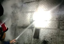 Kandang Terbakar di Babat, Empat Ekor Sapi Mati
