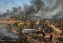 Damkar Tuban Catat Lonjakan Kasus Kebakaran Tiga Bulan Terakhir