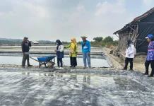 Produksi Garam Lamongan Capai 1.3 Ton, Optimis Penuhi Target