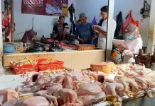 Harga Daging Ayam Ras di Tuban Mulai Stabil, usai Alami Kenaikan Harga
