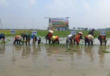 TNI dan Petani Lamongan Perkuat Ketahanan Pangan lewat Gerakan Tanam