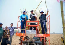 Lamongan Optimalkan Mekanisasi Tebu, Dukung Swasembada Gula Nasional