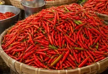 Menjelang Ramadan, Harga Cabai Rawit Merah di Tuban Naik