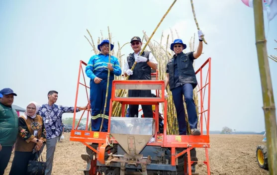 Lamongan Optimalkan Mekanisasi Tebu, Dukung Swasembada Gula Nasional