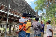 Warga Tuwiri Wetan Tuban Desak Relokasi Kandang Ayam Bumdes akibat Serangan Lalat