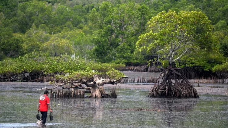 Indonesia Strengthens Inter-Ministerial Cooperation on Climate Change