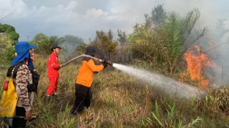 Sukamara Battles Early 2026 Land Fires Amid Rising Hotspots