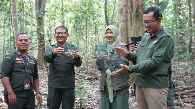 Jambi Quarantine Releases Seized Birds to Wild