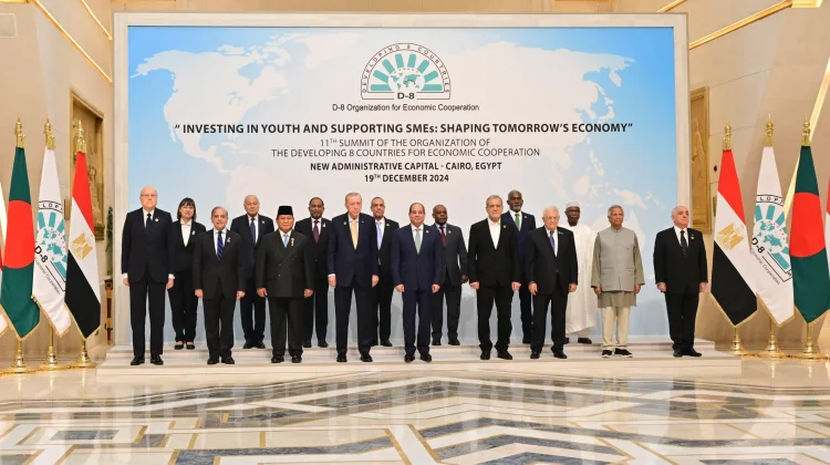 Indonesia Urged to Strengthen D-8’s Global South Role