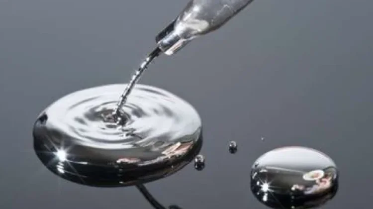 Combating Mercury Threats, Indonesia and Japan Unite Through Strategic Researc