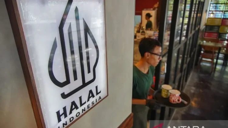 Indonesia Urged to Ensure Fair Halal Standards for Local Producers