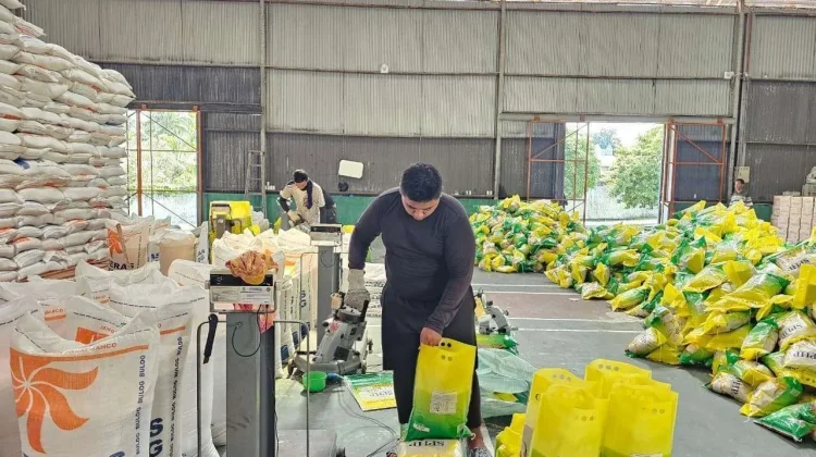 Indonesia Launches First Rice Export to Saudi Arabia for Hajj Pilgrims