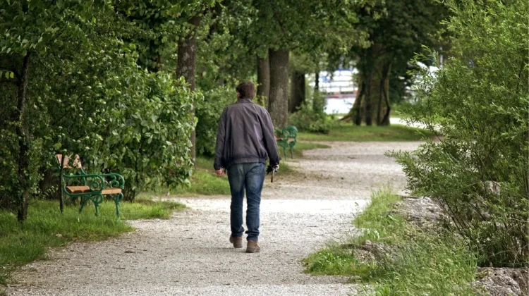 A 30-Minute Daily Walk Effectively Relieves Stress and Improves Mood