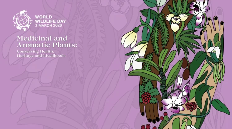 World Wildlife Day 2026, Discovering the World's Medicinal and Aromatic Plants