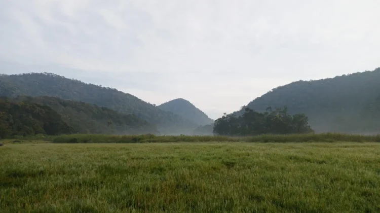 Camping and Natural Relaxation at Kampung Cai Rancaupas