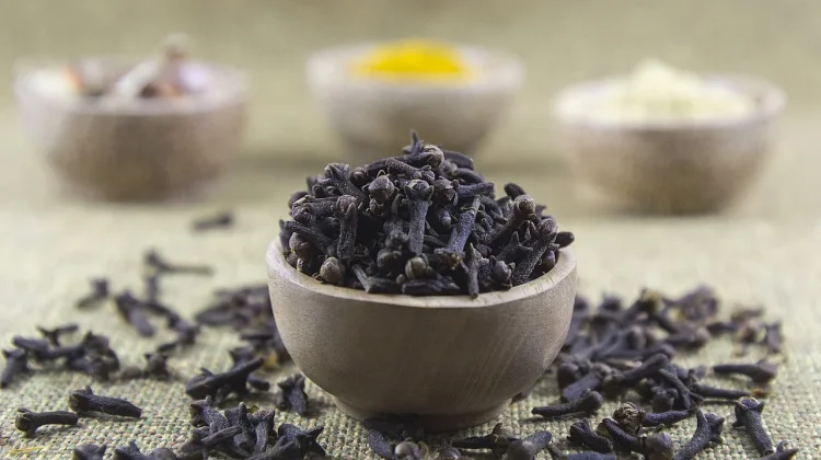 Benefits of Cloves, an Indonesian Native Spice, for Body Health