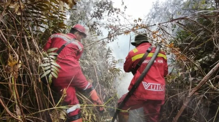 Government Deploys Manggala Agni to Secure Sumatra Mudik Routes from Forest Fires