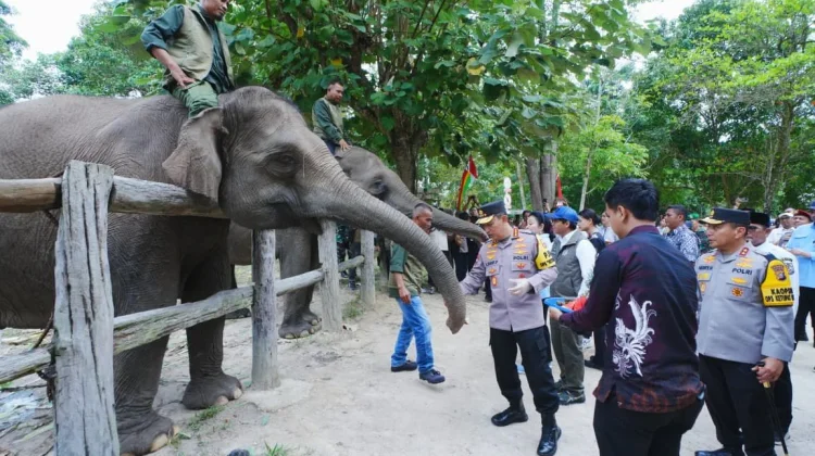 Police Chief and Member of Parlement Inspect Elephant Conservation at Tesso Nilo