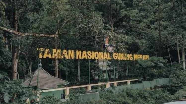 Government Prepares Eco-Friendly Nature Tourism for 2026 Eid Holidays