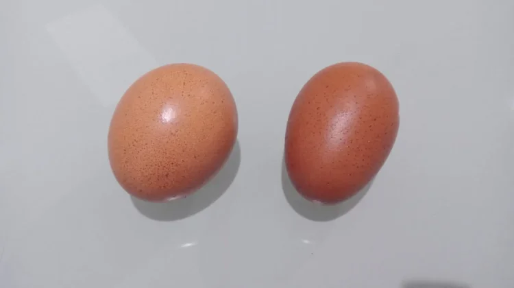 Top Health Wins from Daily Boiled Eggs
