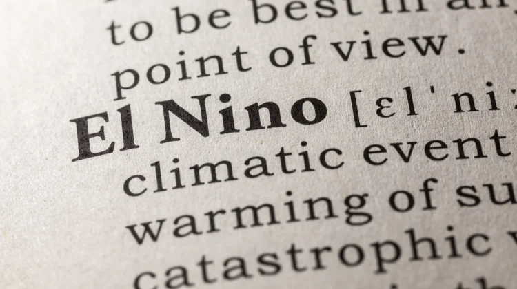 Government Bolsters Food Stocks Amid "Godzilla" El Nino