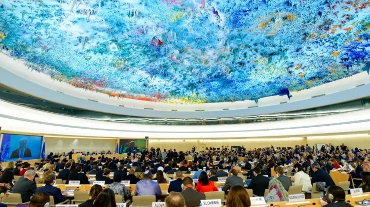 OIC Welcomes United Nations Human Rights Council Resolutions on Palestine