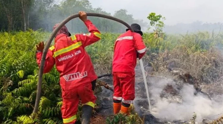 Anticipating Forest-Land Fires in 2026, Government Emphasizes Early Mitigation