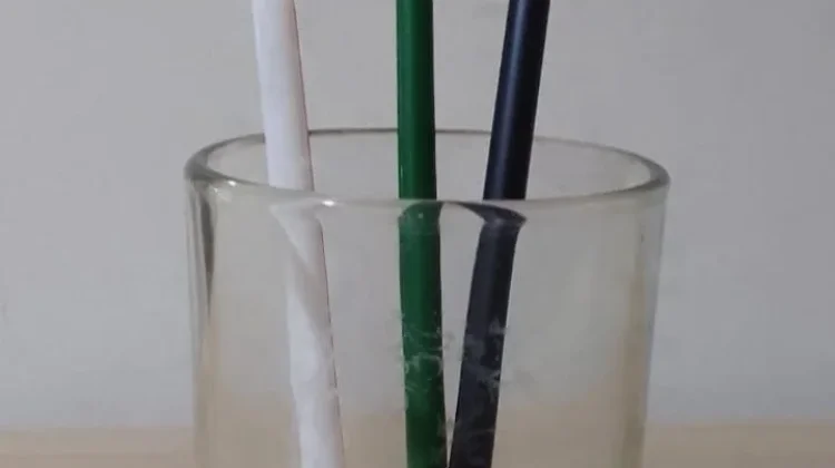 French Teenager Faces Threat of Punishment for Drinking Straw