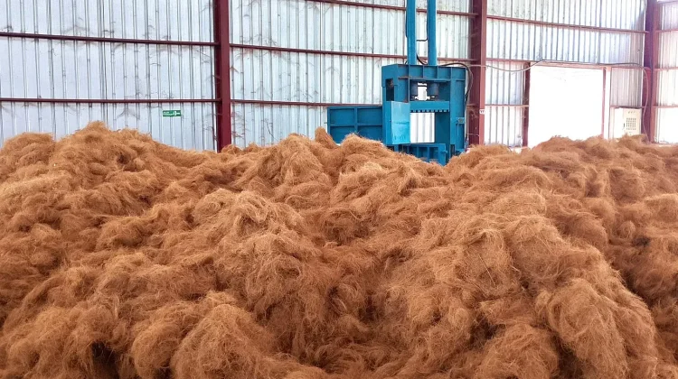 South Minahasa RPB Exports Coconut Husk Products to China for the First Time