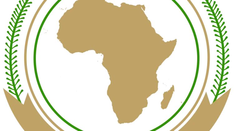 France Hosts African Summit to Broaden Alliances