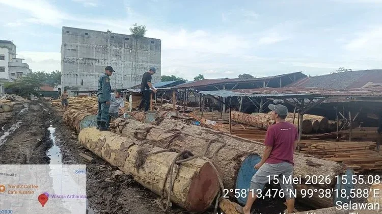 Joint Team Secures Thousands of Illegal Timber Logs at Five Sawmills in Asahan