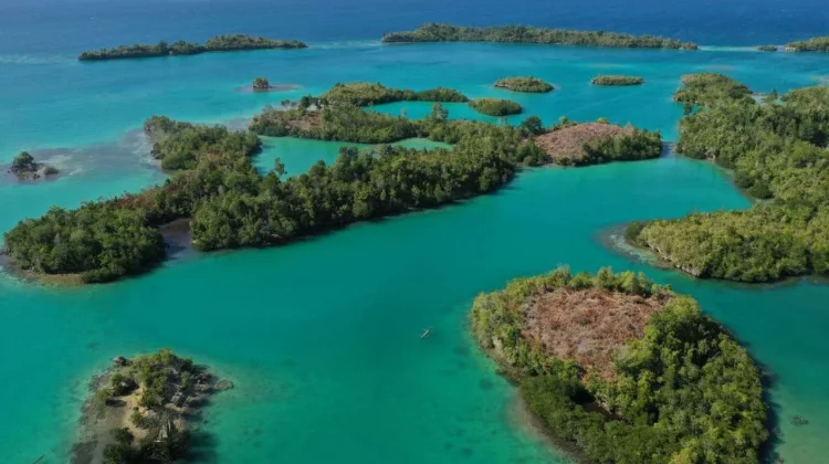 Indonesia’s 21 Biosphere Reserves Set to Enter New Sustainable Management Era