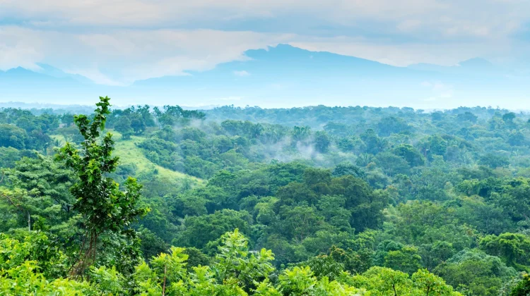 BRIN Pushes Ecosystem-Based Biosphere Reserve Management
