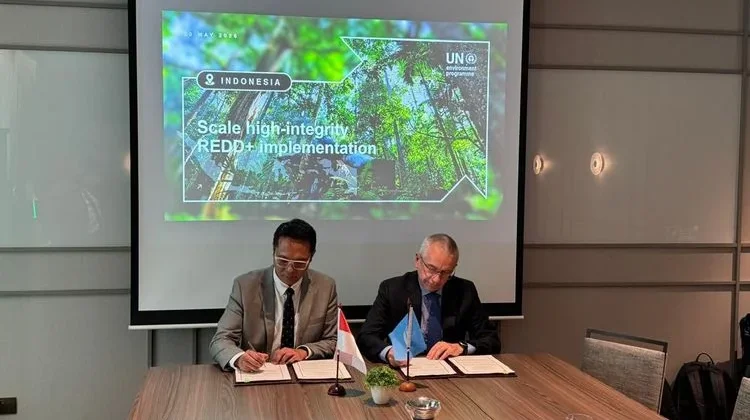Indonesia-UNEP Focuses on Reducing Emissions from Deforestation