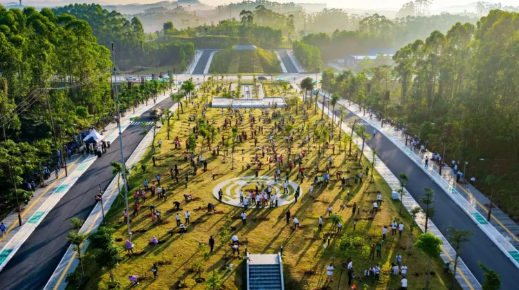 Govt Eases Way for Investors in Indonesia’s New Capital City