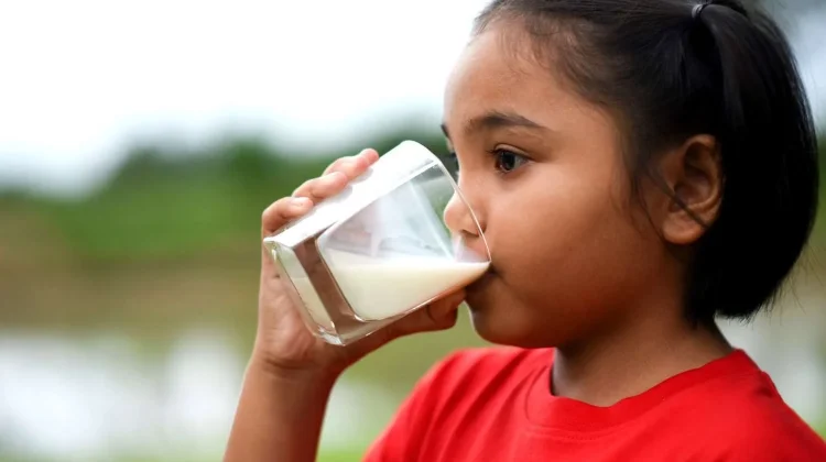 World Milk Day 2026: Why Milk Remains an Important Source of Nutrition