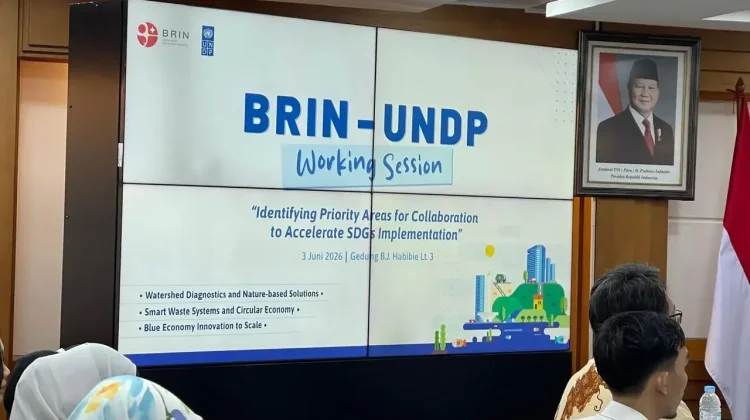 BRIN, UNDP Explore Research Infrastructure Partnership to Support SDGs Goals