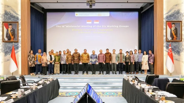 Indonesia-Singapore Agrees to Develop Batam-Bintan-Karimun into Digital Hub