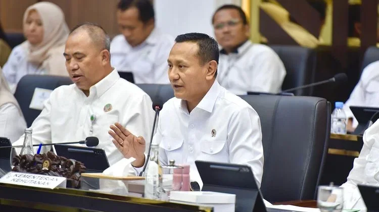 Government Encourages Revision of Forestry Law to Foster Legal Certainty and
